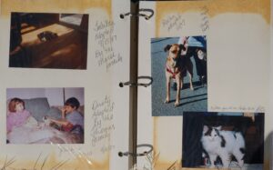 Pictures of dogs and cats on two pages of a scrapbook.