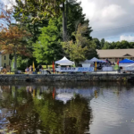 Pond with Medfield Day exhibit tents in background