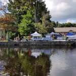 view of street with tents and trees overlooking pond